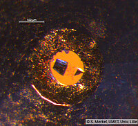 Samples inside a diamond anvil cell